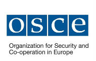 ОЕБС: Медији угрожени, потребан план економске подршке ОЕБС: Медији угрожени, потребан план економске подршке