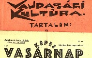 Mađarska štampa u Vojvodini između dva rata