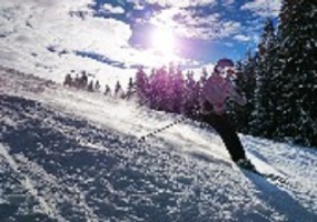 Ski sekcija UNS-a organizuje zimovanje u Italiji Ski sekcija UNS-a organizuje zimovanje u Italiji